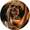 Batu