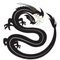 Black Dragon Capital