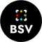 BSV Ventures