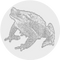 dao5