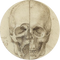 DavinciDAO