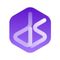 Digital Space Ventures