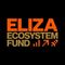 ElizaOS Ecosystem Fund
