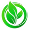 Floem Capital