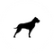 GP Bullhound