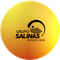 Grupo Salinas