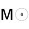 Momentum 6