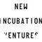 New Incubation Ventures (NIV)
