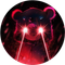 Raito
