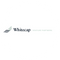 Whitecap Venture Partners