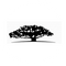 WisdomTree