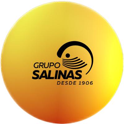Grupo Salinas