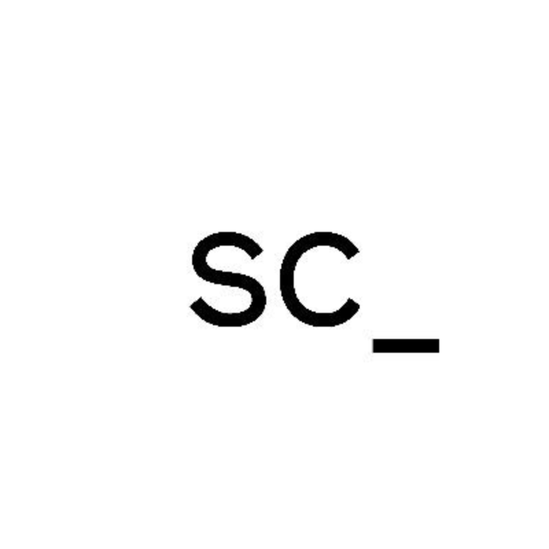 Social Capital